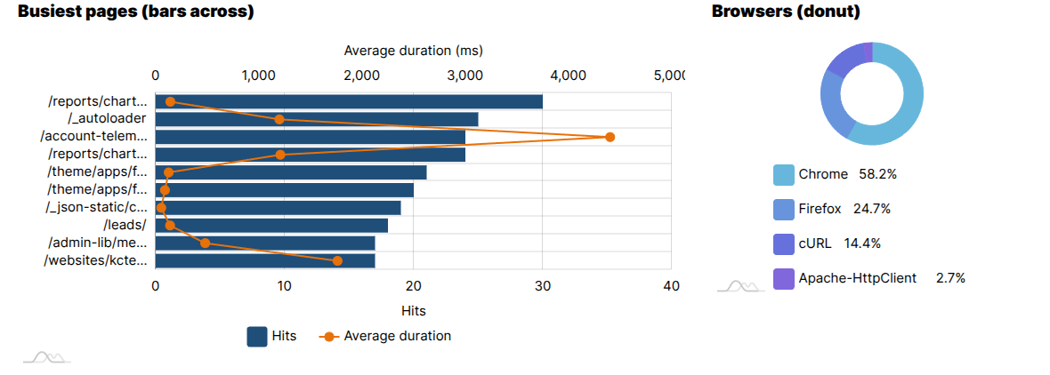 A horizontal bar chart of the busiest pages, and a donut chart of browsers