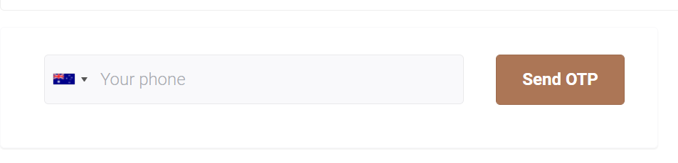 View Blog Article - Create an OTP login component